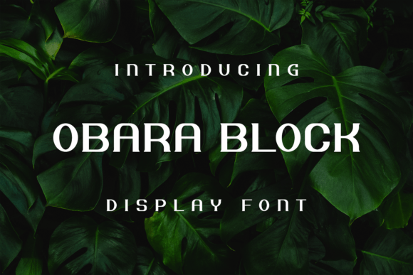 Obara Block: A Unique Display Font That Elevates Your Designs