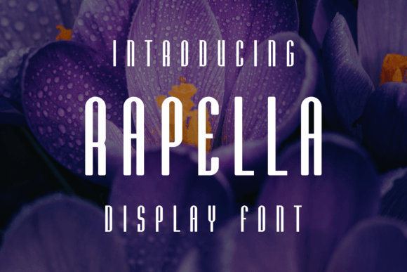 The Power of Typography: Why Rapella is a Must-Have for Modern Designers